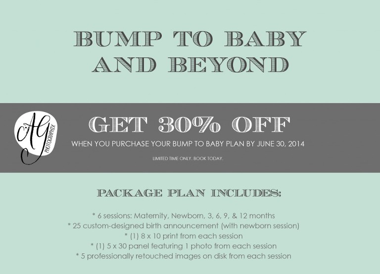 Bump-To-Baby-Plan 2014