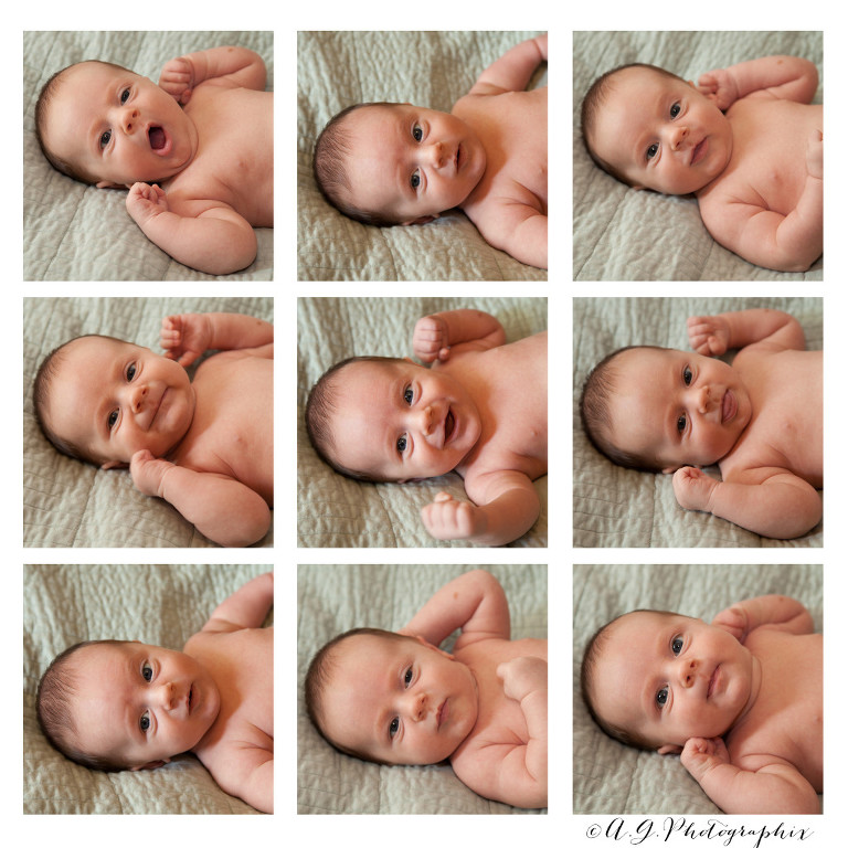 many-faces-of-harrison