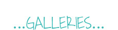 Galleries Header